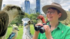 S1 E2: Brisbane