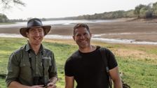 S1 E1: Killer Crocs With Steve Backshall