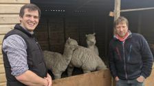 S13 E8: The Yorkshire Vet