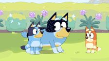 S3 E12: Sheep Dog