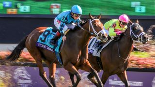 Breeders' Cup Intl Classic Hour