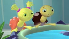 S2 E39: Turtle Trouble