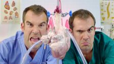 S3 E2: We Heart The Heart!