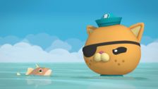 S2 E15: Triggerfish