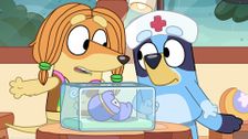 S1 E41: Early Baby