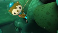 S1 E42: The Eel Ordeal