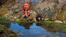 S1 E1: Rockpool