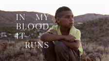 In My Blood It Runs