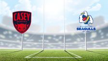 S2025 E23: Elimination Final: Casey Demons vs. Williamstown Football Club