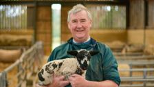 S15 E12: The Yorkshire Vet