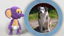 S1 E6: Fantus and the Dog