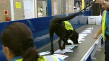 S5 E3: Border Security: Australia's Front Line