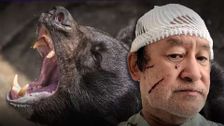 S2024 E13: Bears Gone Wild