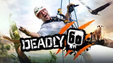 Deadly 60