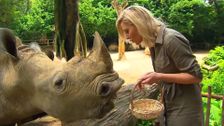 S23 E25: Singapore Zoo, Atlantis, The Palm and Mt Wellington Cycle
