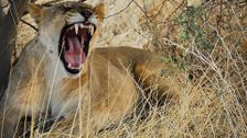 S2 E10: Namibia 2