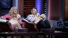 S8 E10: Shark Tank