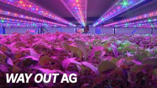 Way Out AG