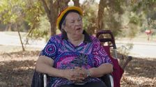 S5 E2: Nyingarn Koorda Djinanginy