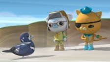 S1 E24: The Octonauts and the Monster Digger