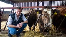 S8 E4: The Yorkshire Vet
