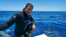 S1 E1: Sharks of the Atlantic Ocean