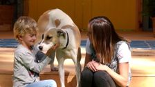 S1 E1: The Dog House Australia