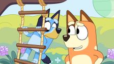S3 E3: Obstacle Course