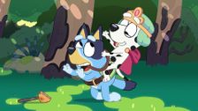S1 E38: The Adventure