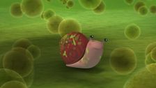 S1 E8: The Great Algae Escape