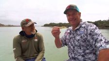 S20 E48: Creek to Coast
