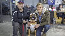 S7 E6: Bondi Vet
