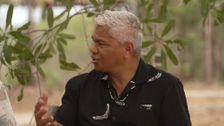 S2023 E7: On the Road: Garma 2023