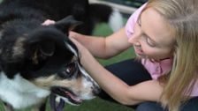 S8 E21: Bondi Vet