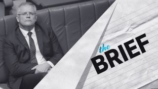 The Brief