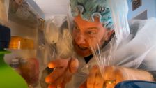 S5 E2: Pranksgiving