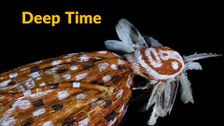 Deep Time