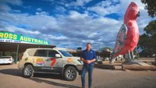 S14 E5: South Aussie With Cosi