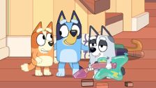 S1 E40: The Sleepover