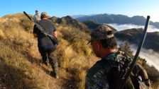 S3 E7: Kaikoura