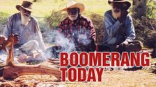 Boomerang Today
