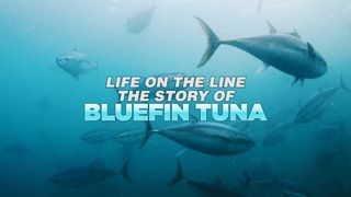 Life on the Line: The Story of Bluefin Tuna