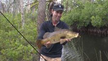 S8 E4: Best of 2019: Cape York Billabong