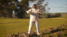 S11 E6: South Aussie With Cosi