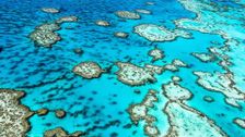 S1 E5: Australia - East