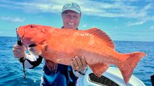 S27 E8: Escape Fishing with ET