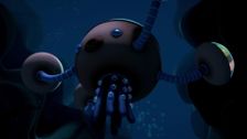 S2 E21: Humphead Parrotfish