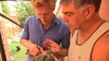 S8 E9: Bondi Vet
