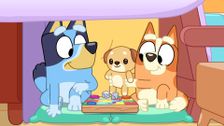 S3 E38: Cubby